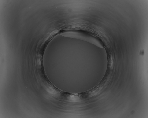 X0000091640232200708231206