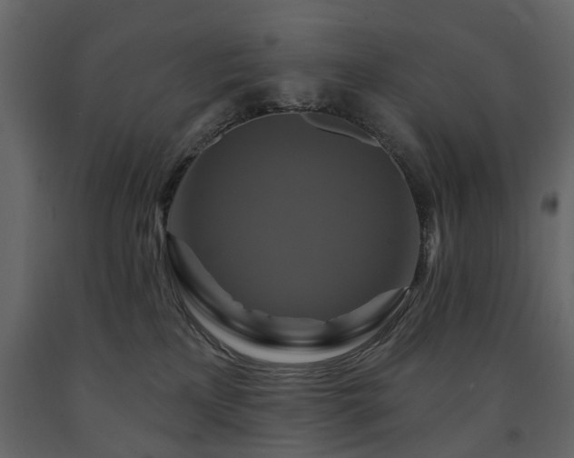 X0000091640233200708231206