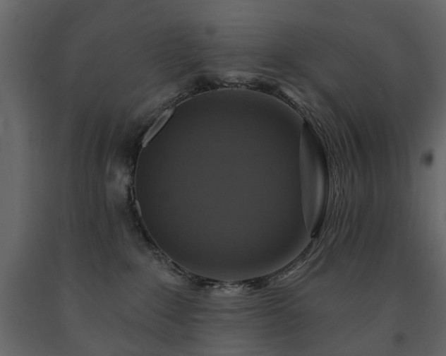 X0000091640235200708231206