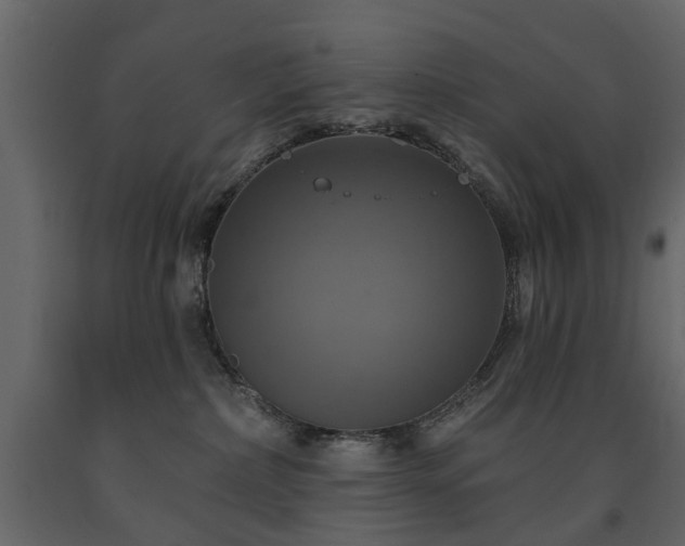 X0000091640236200708231206