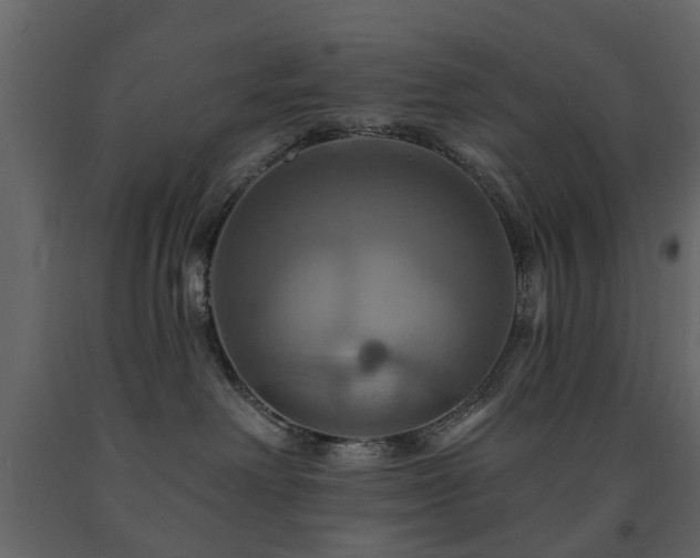 X0000091640238200708231206