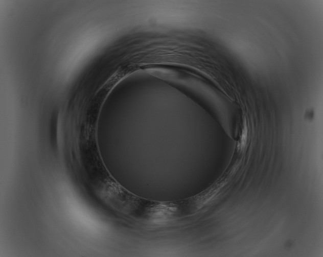 X0000091640239200708231205