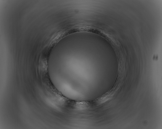 X0000091640240200708231205