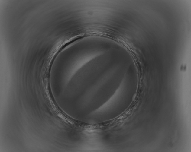 X0000091640241200708231205
