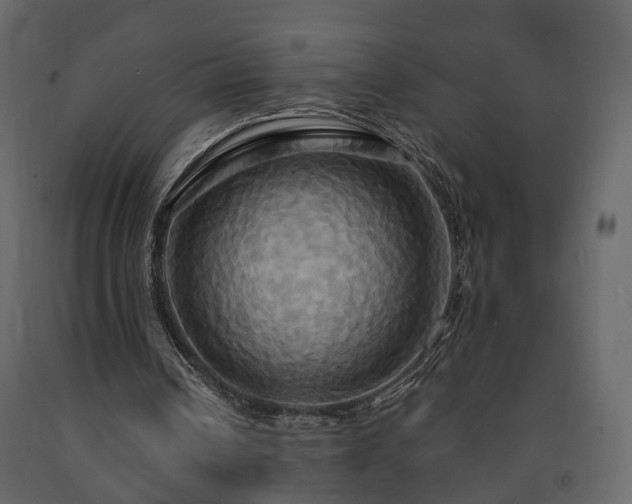 X0000091640242200708231205