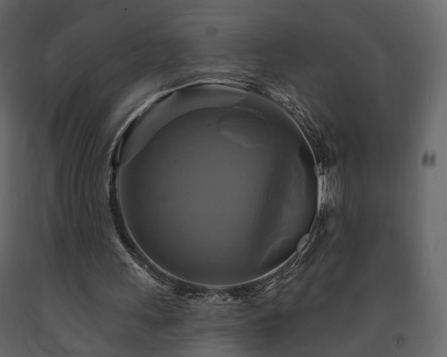 X0000091640243200708231205