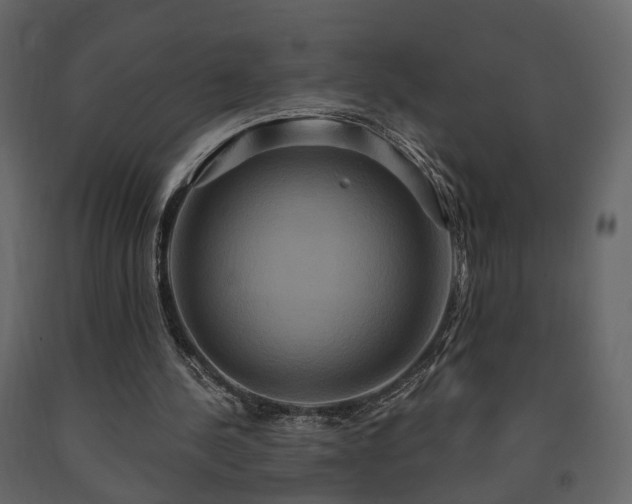 X0000091640244200708231205