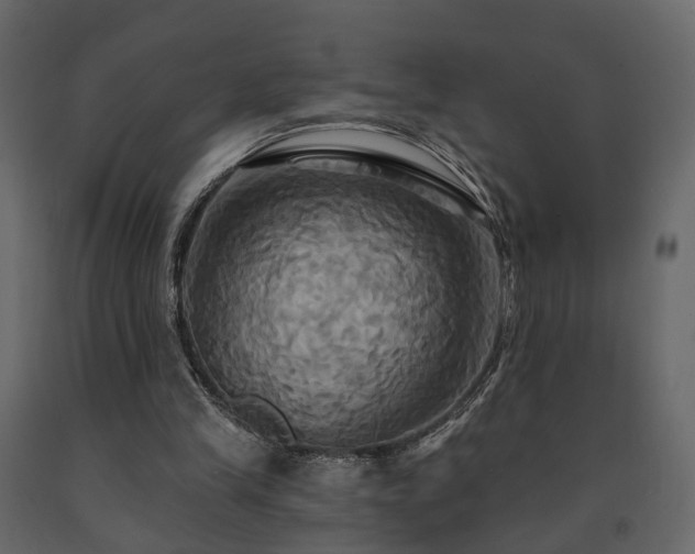 X0000091640245200708231205