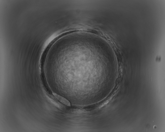 X0000091640246200708231205