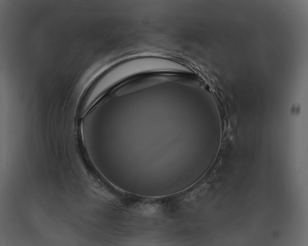 X0000091640247200708231205