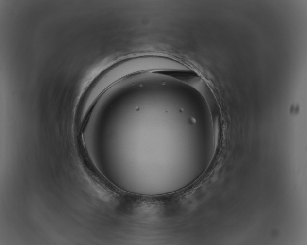 X0000091640248200708231205
