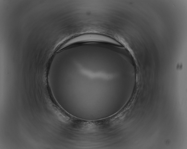X0000091640249200708231205