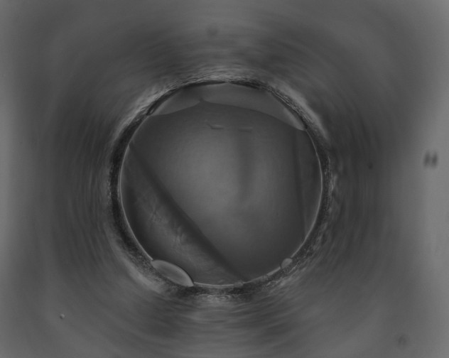 X0000091640250200708231205