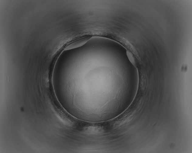 X0000091640251200708231205