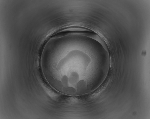 X0000091640253200708231205
