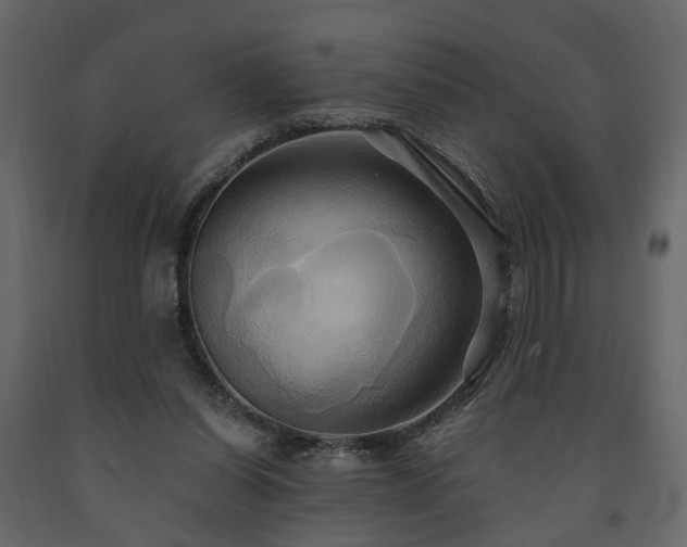 X0000091640254200708231205