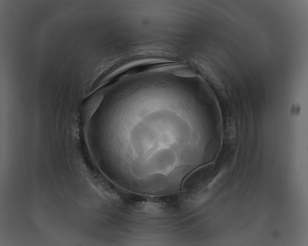X0000091640255200708231205