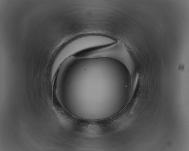X0000091640256200708231205