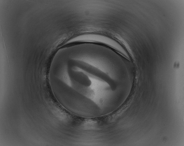 X0000091640257200708231205