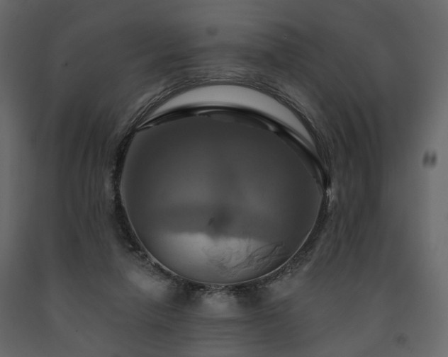 X0000091640258200708231205