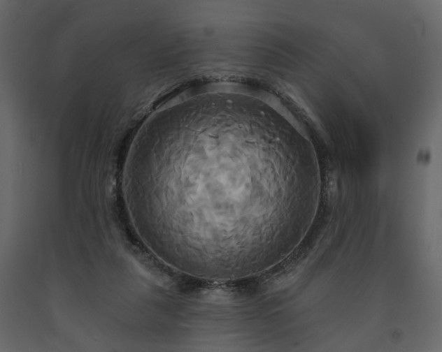 X0000091640259200708231205