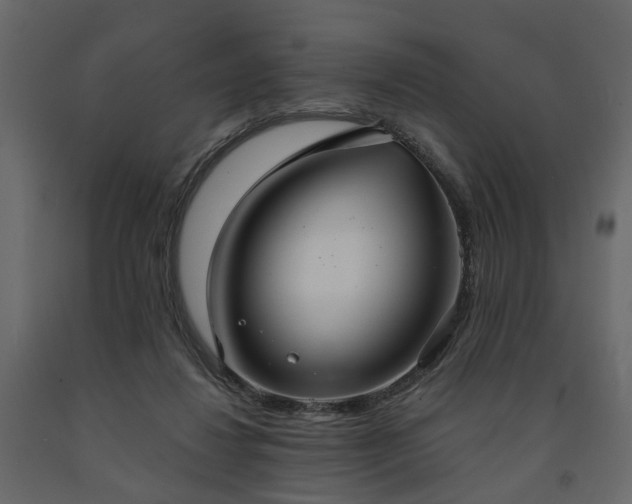 X0000091640260200708231205