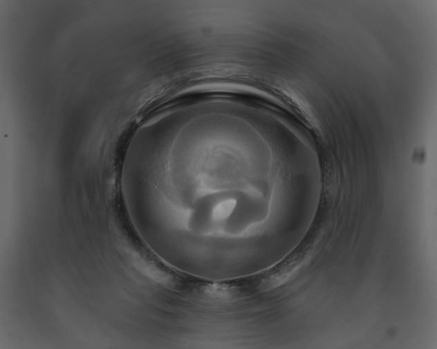 X0000091640261200708231205