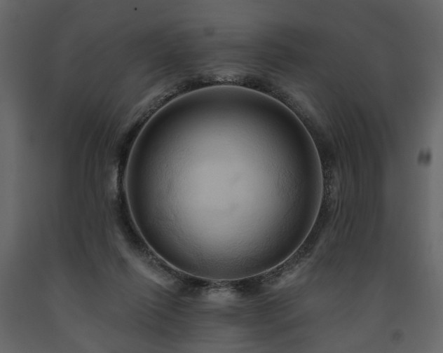 X0000091640262200708231205
