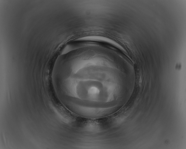 X0000091640263200708231205