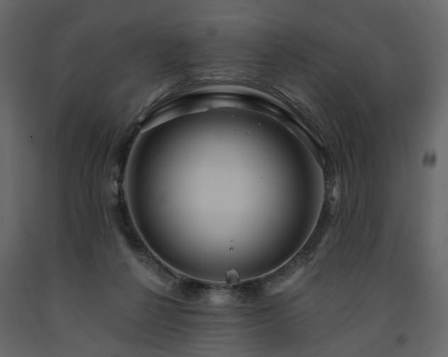 X0000091640264200708231205