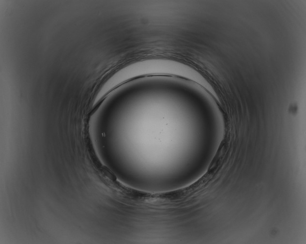 X0000091640268200708231205