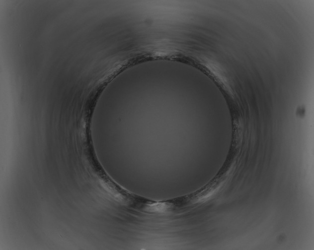 X0000091640269200708231205