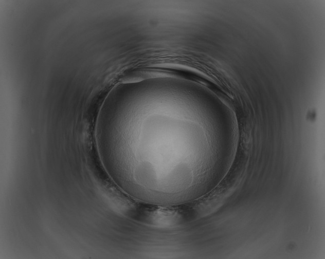 X0000091640270200708231205