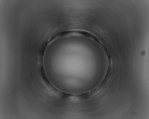 X0000091640272200708231205