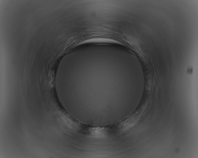X0000091640273200708231205