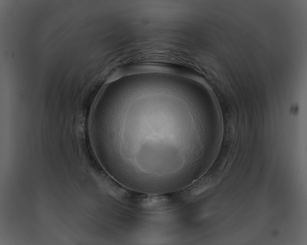 X0000091640274200708231205