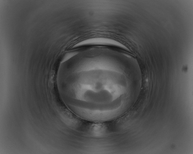 X0000091640275200708231205