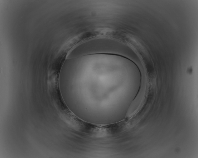 X0000091640276200708231205