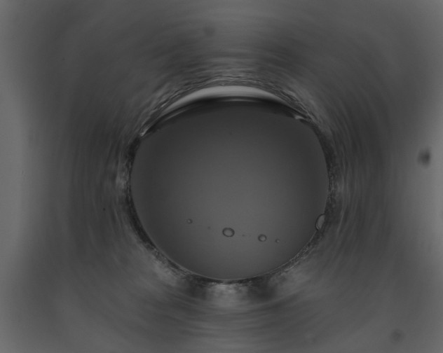 X0000091640277200708231205