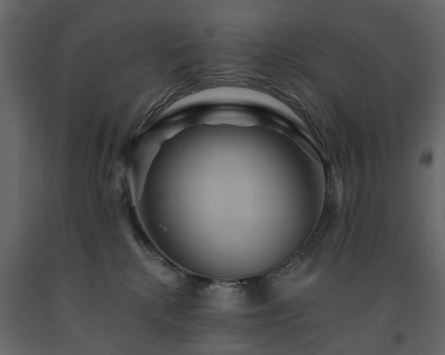 X0000091640280200708231205