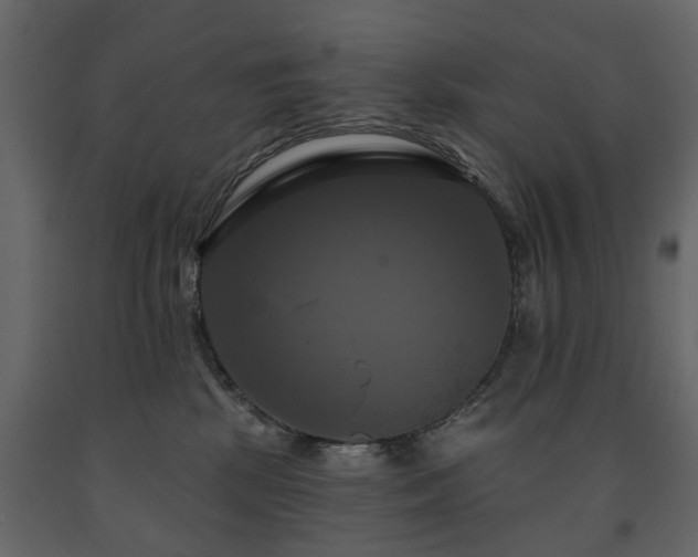 X0000091640281200708231205