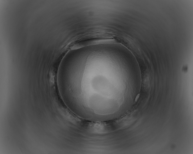 X0000091640282200708231205