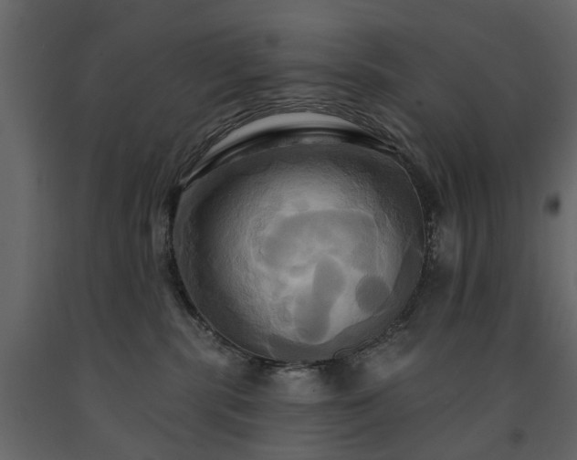 X0000091640283200708231205