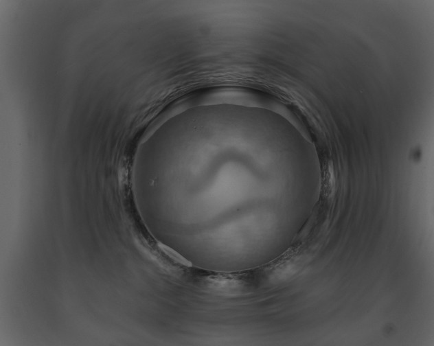 X0000091640284200708231205
