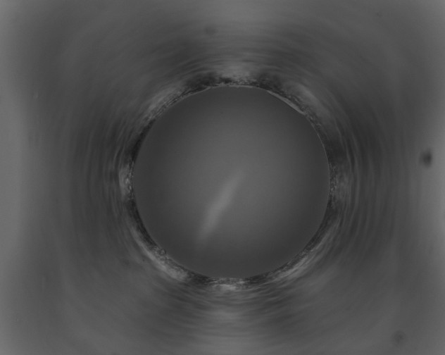 X0000091640285200708231205