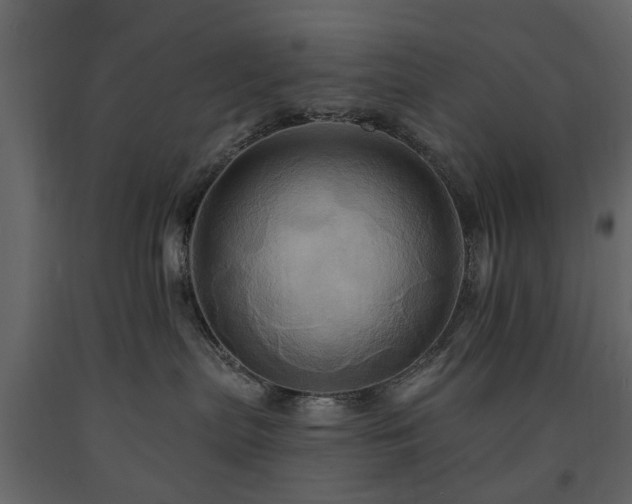 X0000091640287200708231205