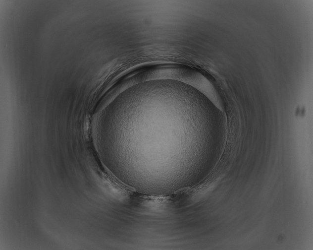 X0000091640288200708231205
