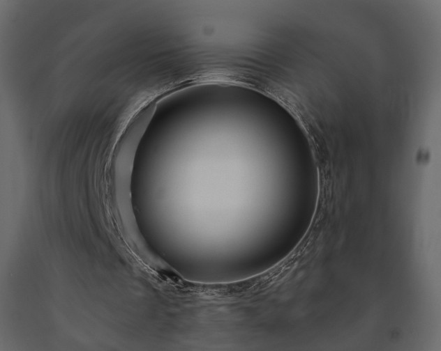 X0000091640289200708231205