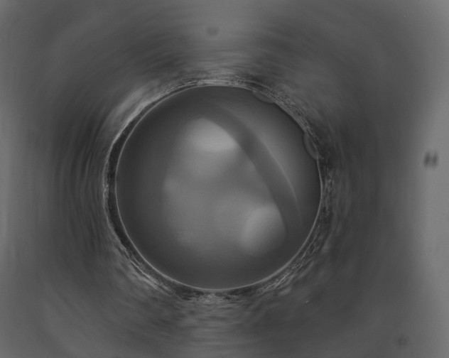 X0000091640290200708231205