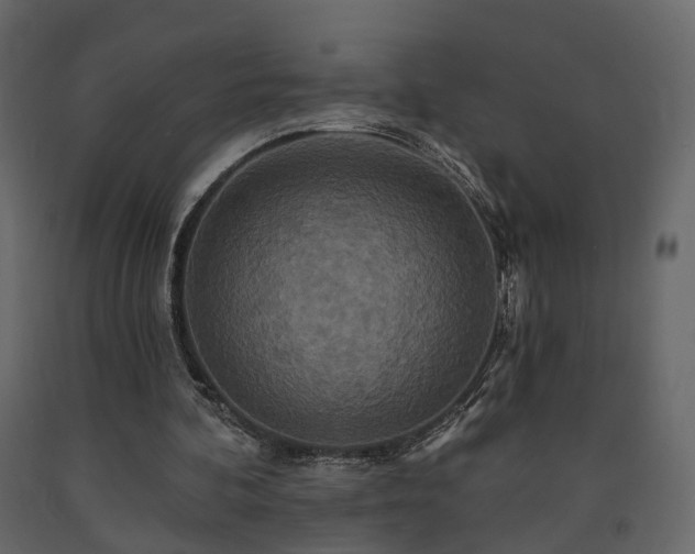 X0000091640292200708231205